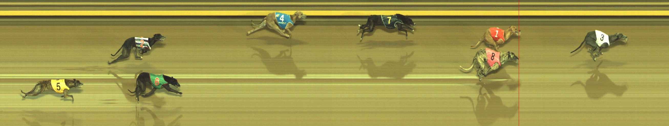 Photo finish for Geelong Race 12