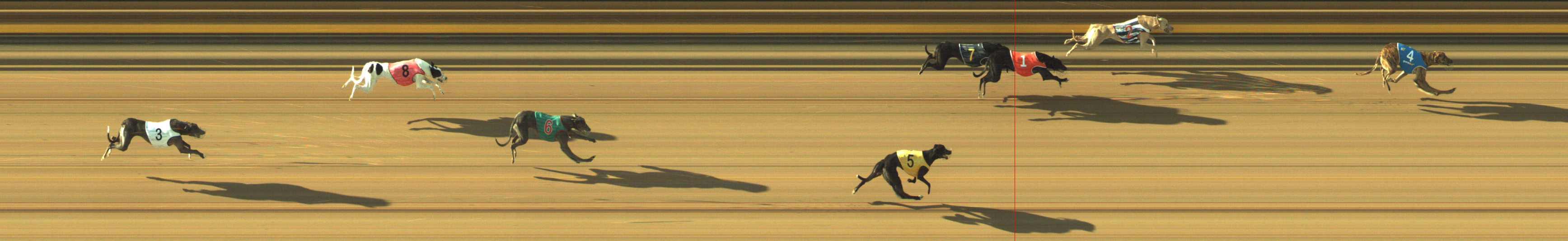 Photo finish for Geelong Race 1