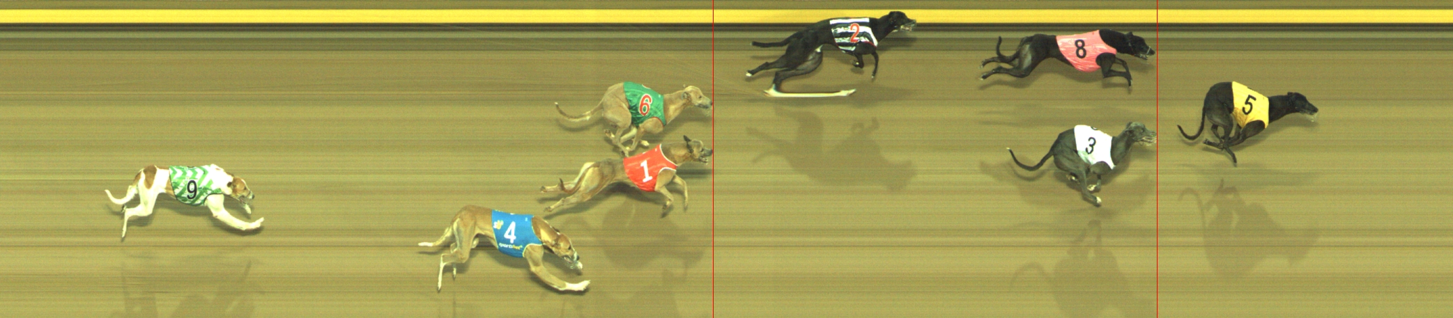 Photo finish for Geelong Race 4