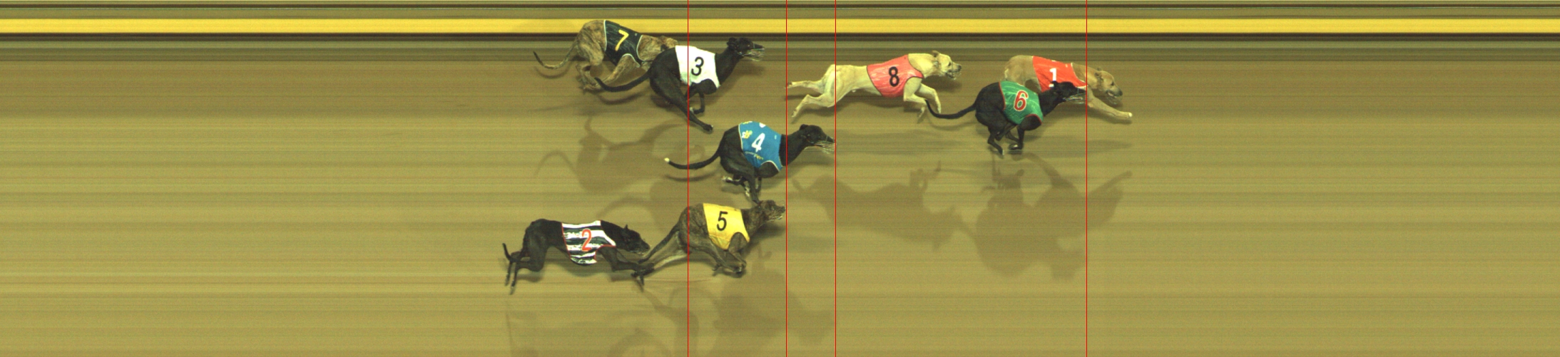 Photo finish for Geelong Race 5