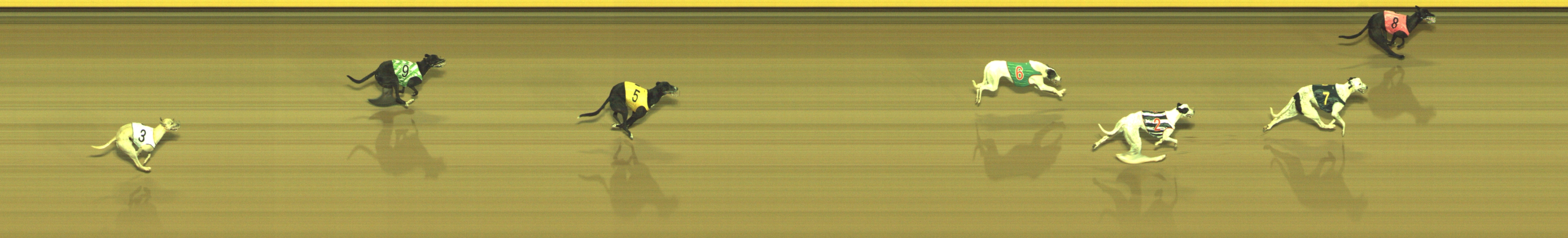 Photo finish for Geelong Race 7