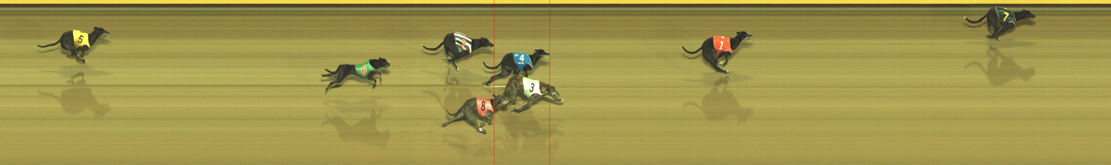 Photo finish for Geelong Race 8