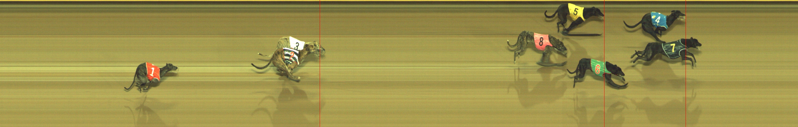 Photo finish for Geelong Race 9