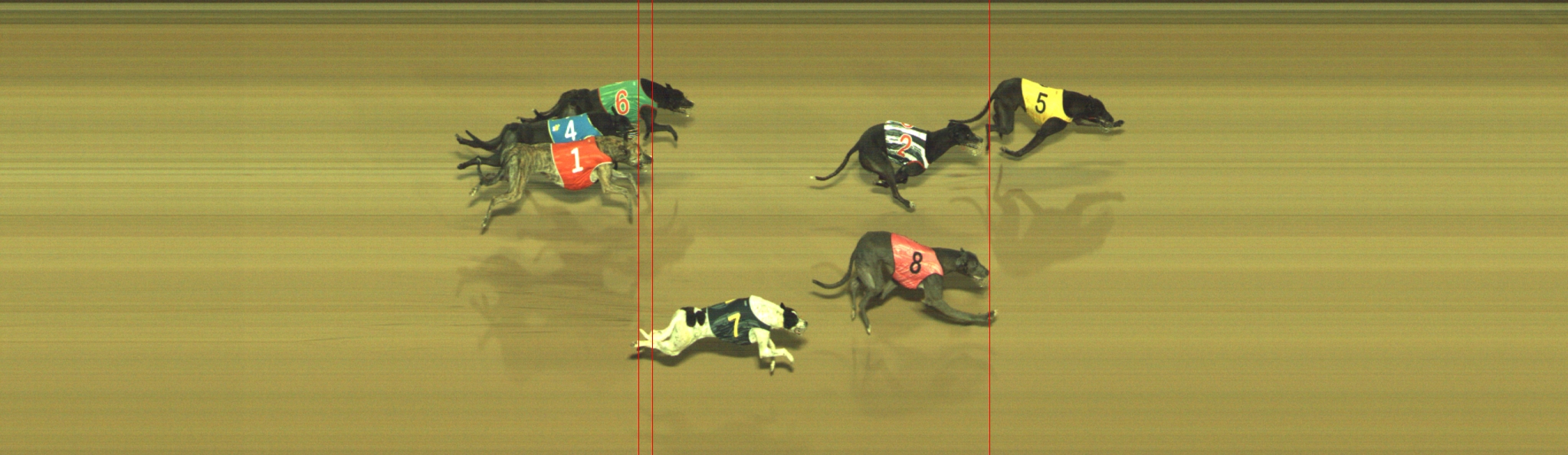 Photo finish for Geelong Race 11