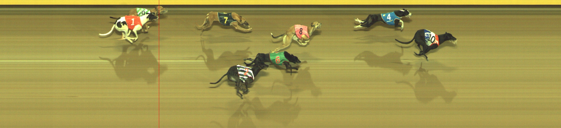 Photo finish for Geelong Race 12