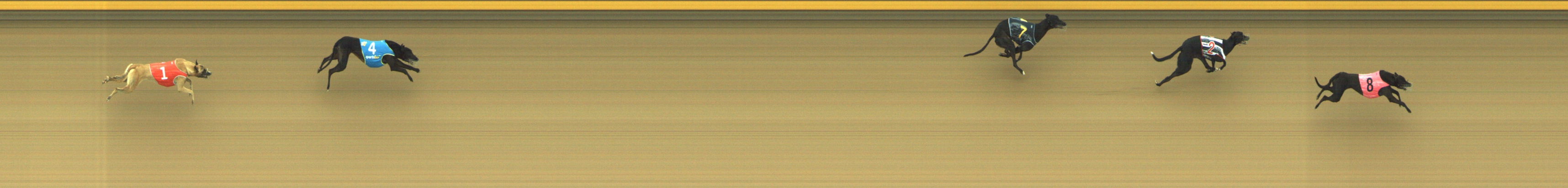 Photo finish for Geelong Race 1