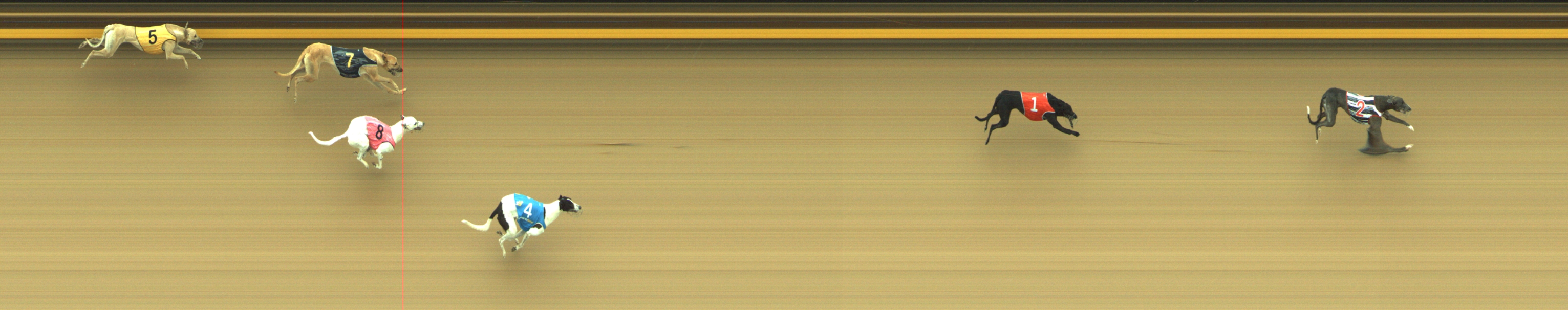 Photo finish for Geelong Race 2