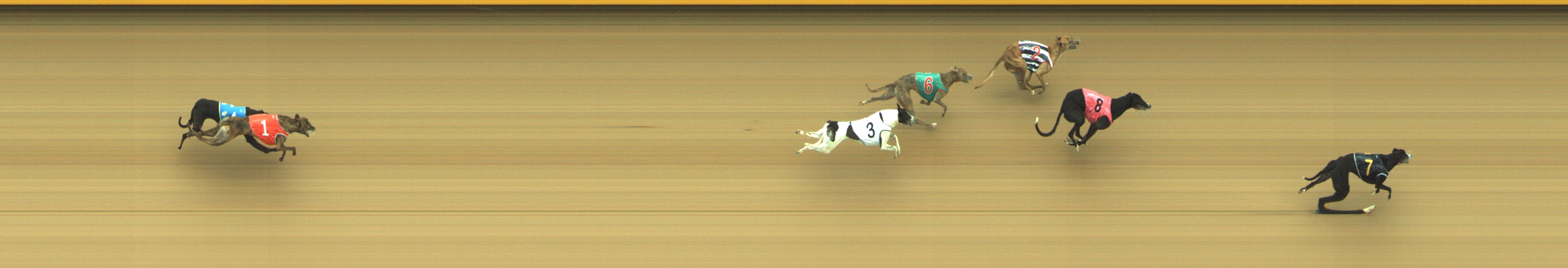 Photo finish for Geelong Race 3