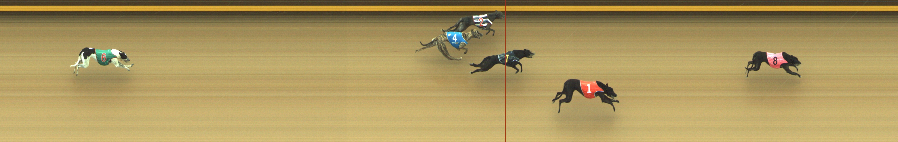 Photo finish for Geelong Race 4