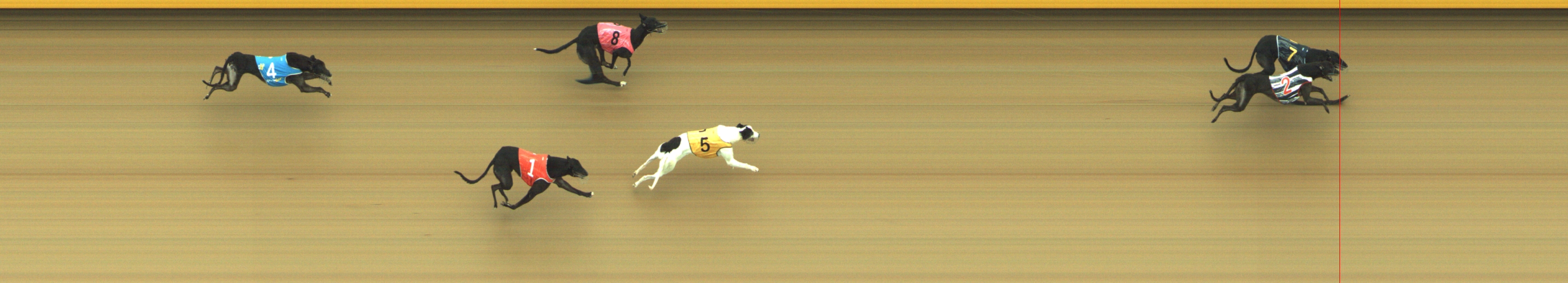 Photo finish for Geelong Race 6