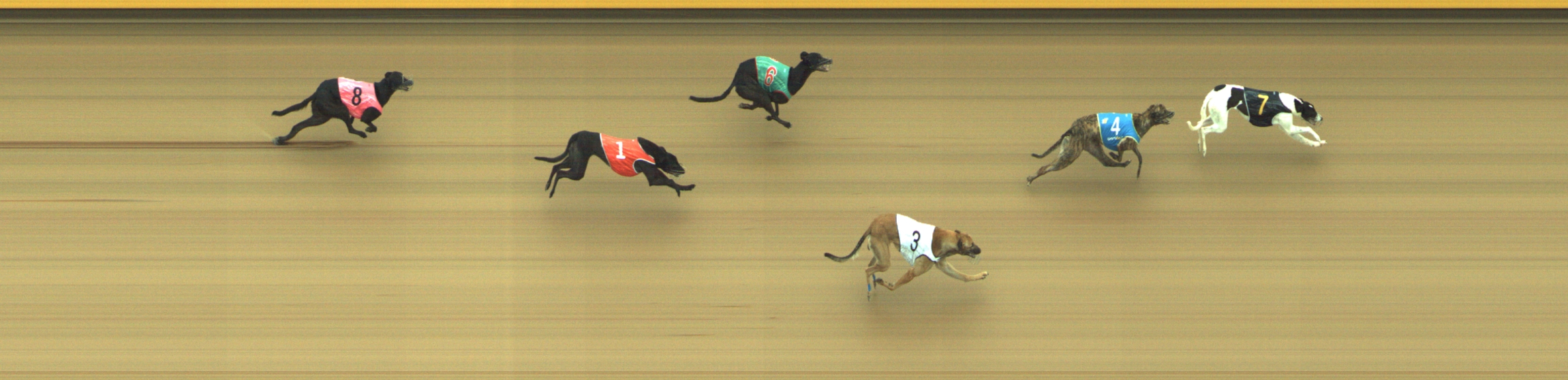 Photo finish for Geelong Race 7