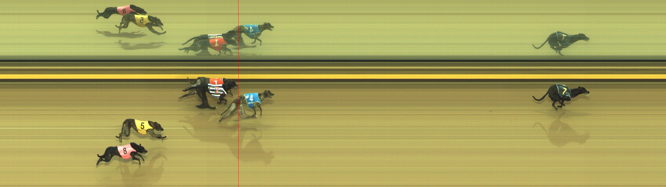 Photo finish for Geelong Race 8
