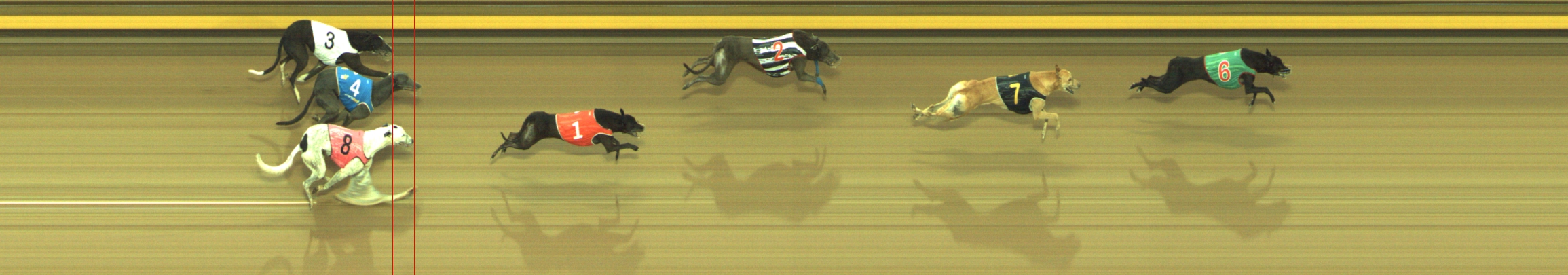 Photo finish for Geelong Race 9