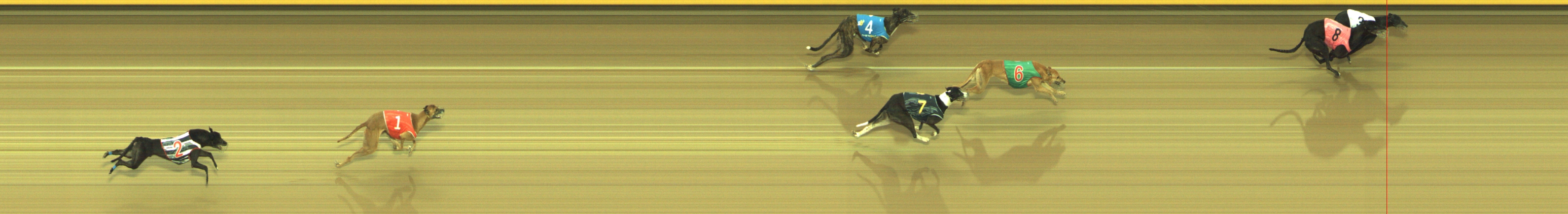 Photo finish for Geelong Race 10