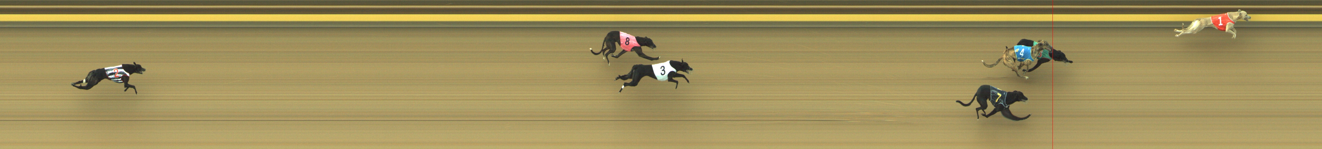 Photo finish for Geelong Race 1