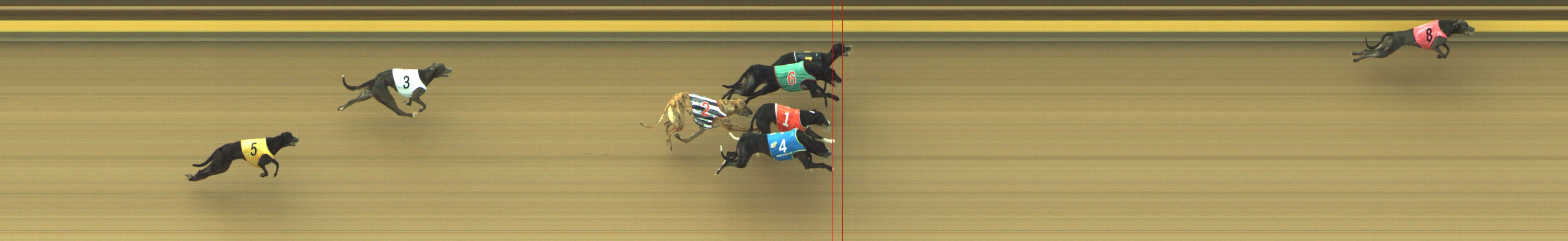 Photo finish for Geelong Race 2