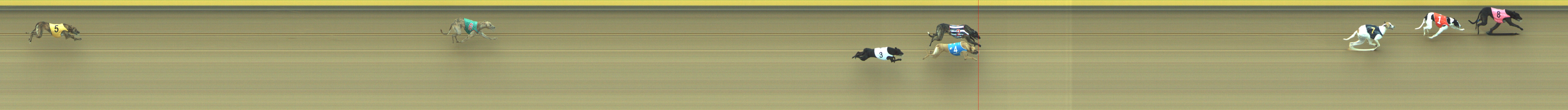 Photo finish for Geelong Race 3