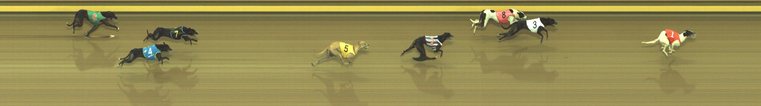 Photo finish for Geelong Race 4