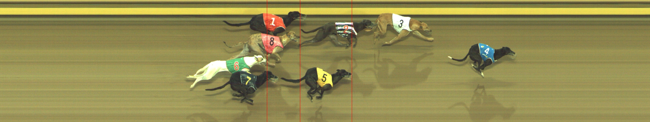 Photo finish for Geelong Race 5