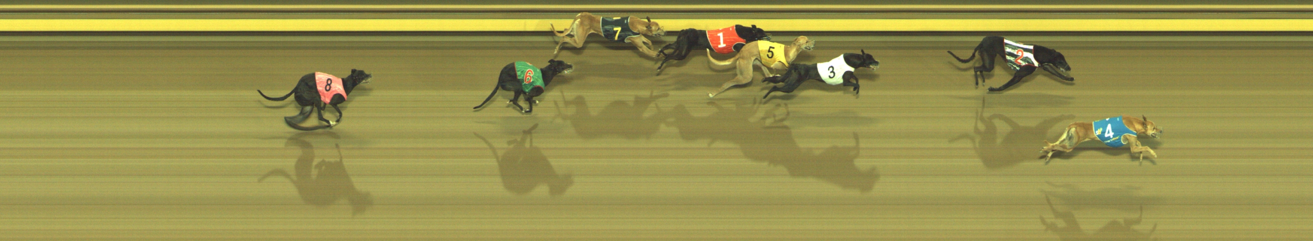 Photo finish for Geelong Race 6