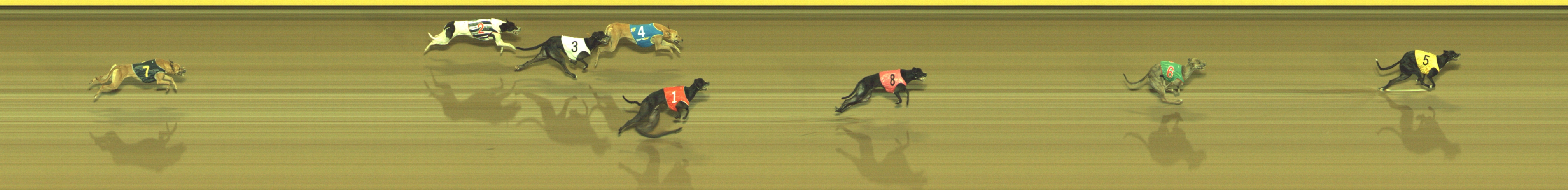 Photo finish for Geelong Race 7