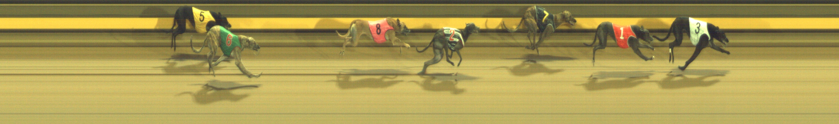 Photo finish for Geelong Race 8