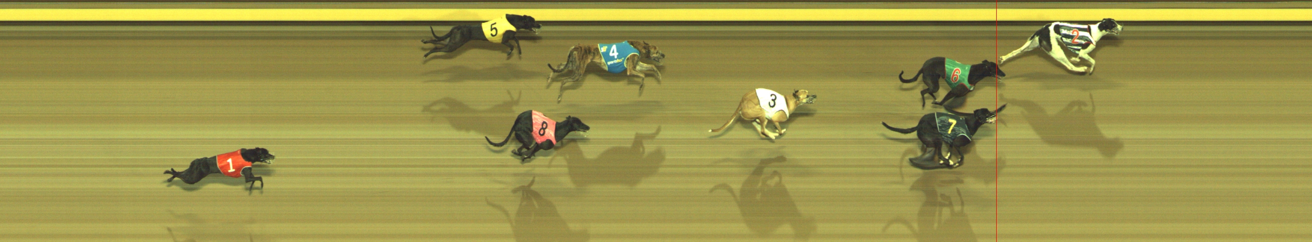 Photo finish for Geelong Race 9