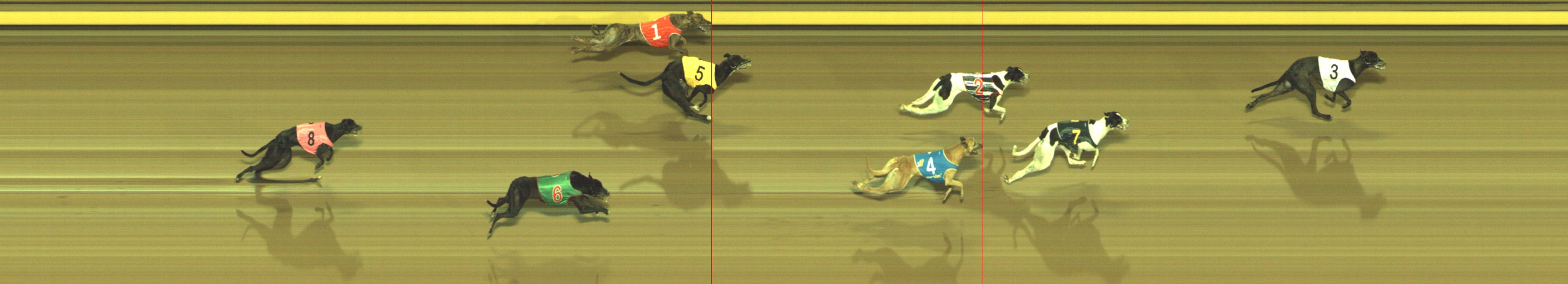 Photo finish for Geelong Race 10