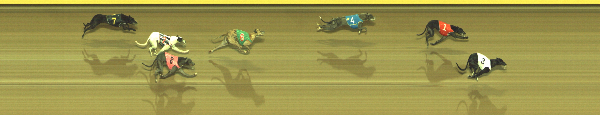 Photo finish for Geelong Race 11