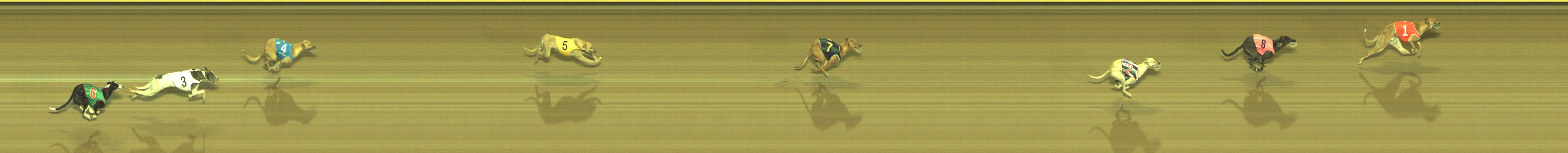 Photo finish for Geelong Race 12