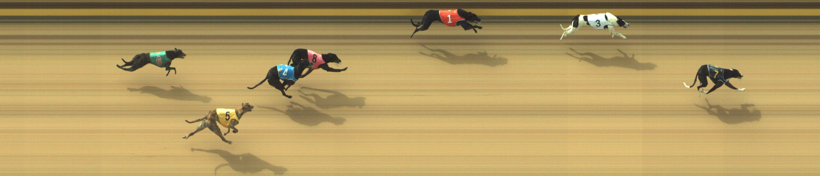 Photo finish for Geelong Race 1