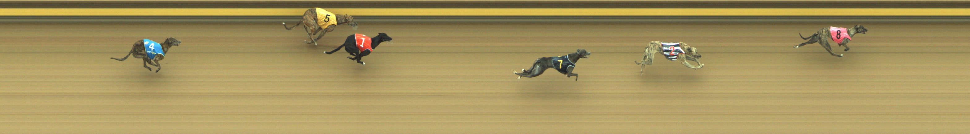 Photo finish for Geelong Race 3