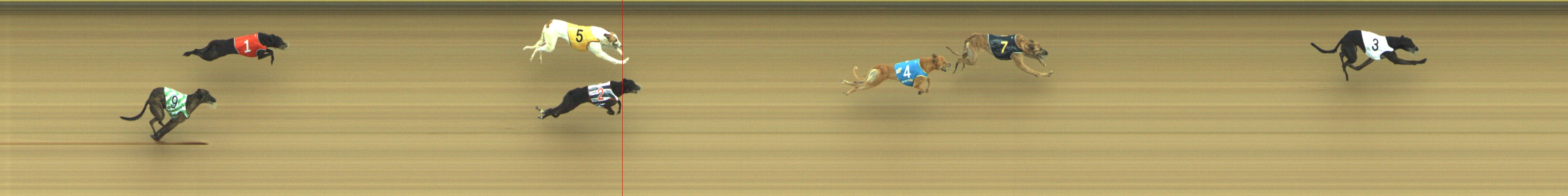 Photo finish for Geelong Race 5