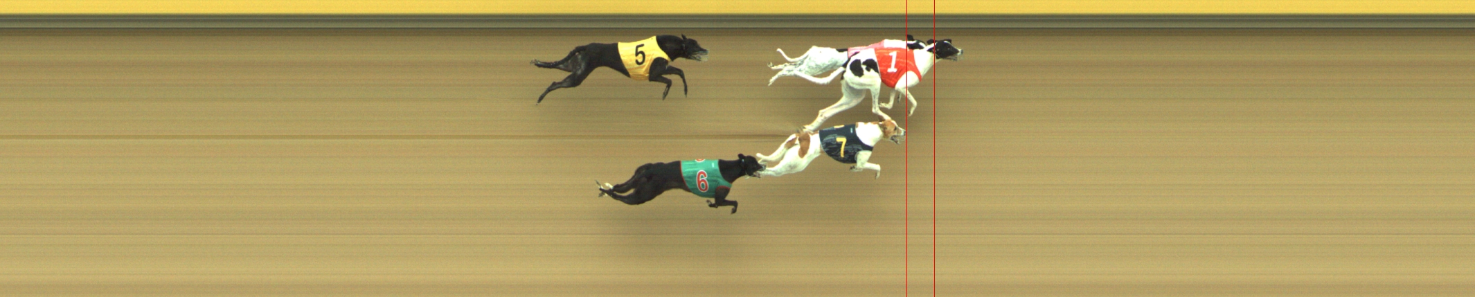 Photo finish for Geelong Race 6