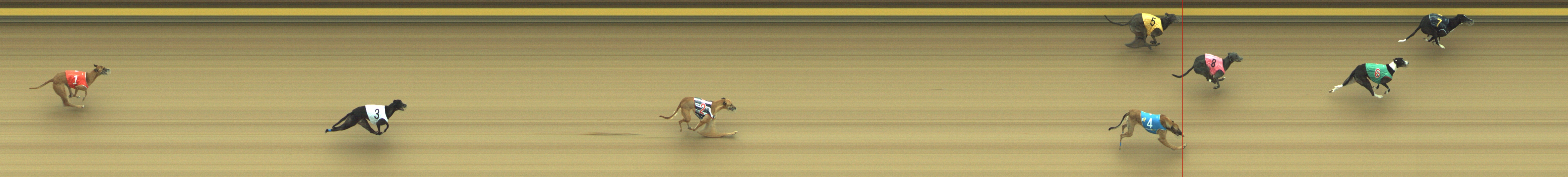 Photo finish for Geelong Race 7