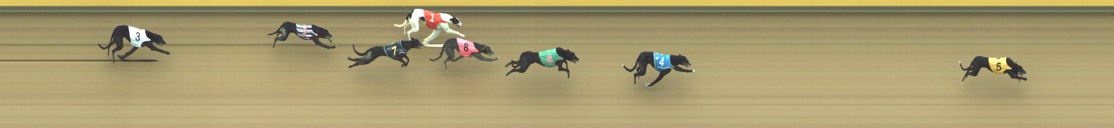 Photo finish for Geelong Race 8