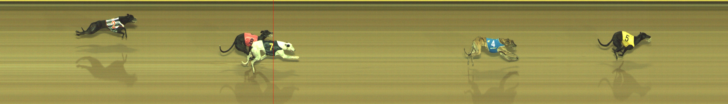 Photo finish for Geelong Race 9