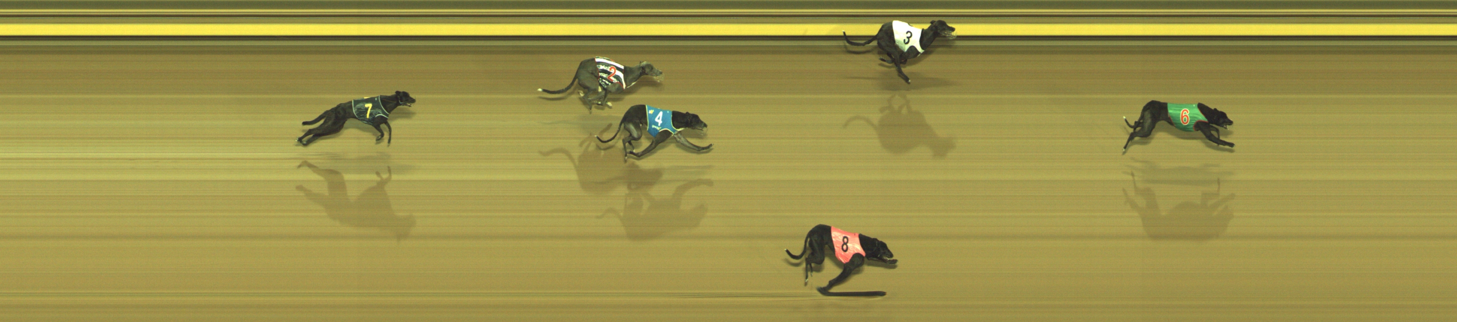 Photo finish for Geelong Race 10