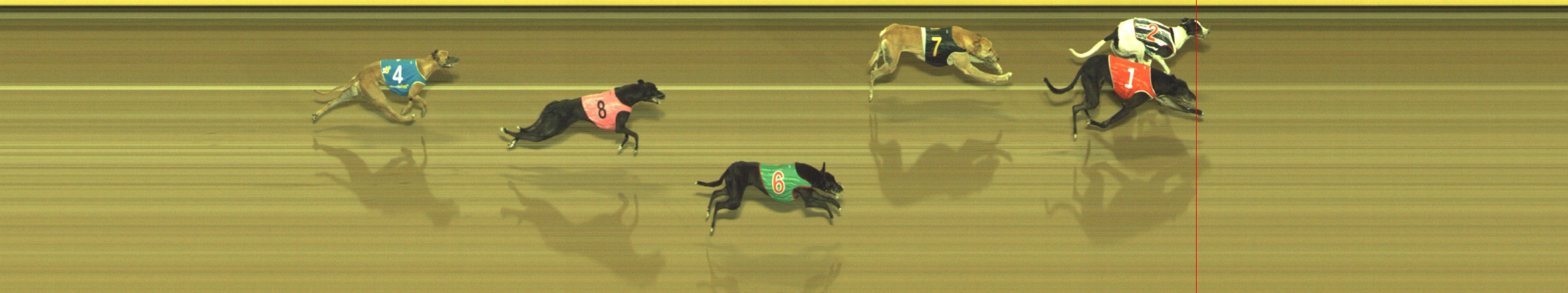Photo finish for Geelong Race 11