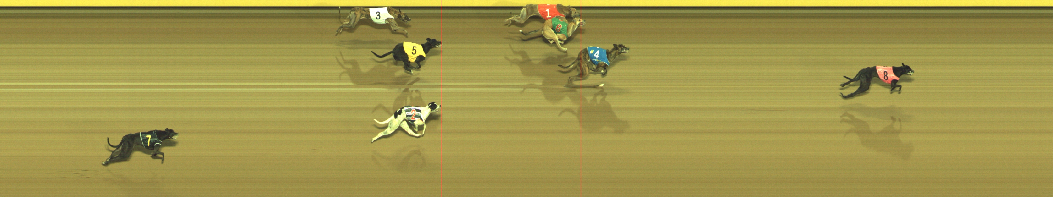Photo finish for Geelong Race 12