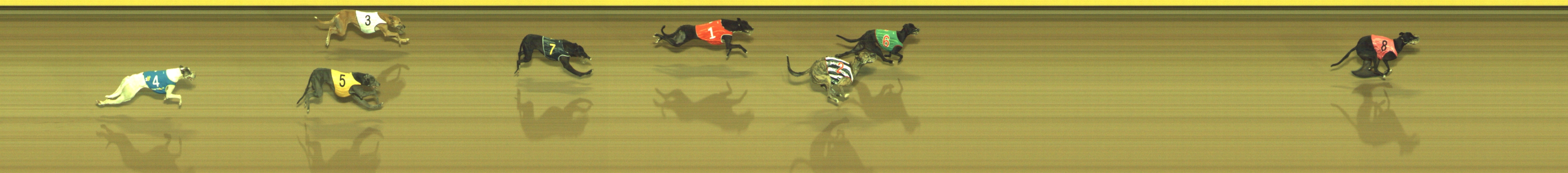 Photo finish for Geelong Race 13