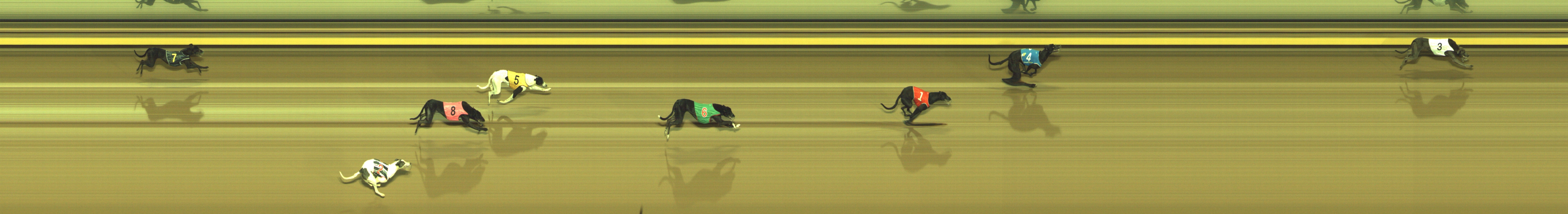 Photo finish for Geelong Race 1