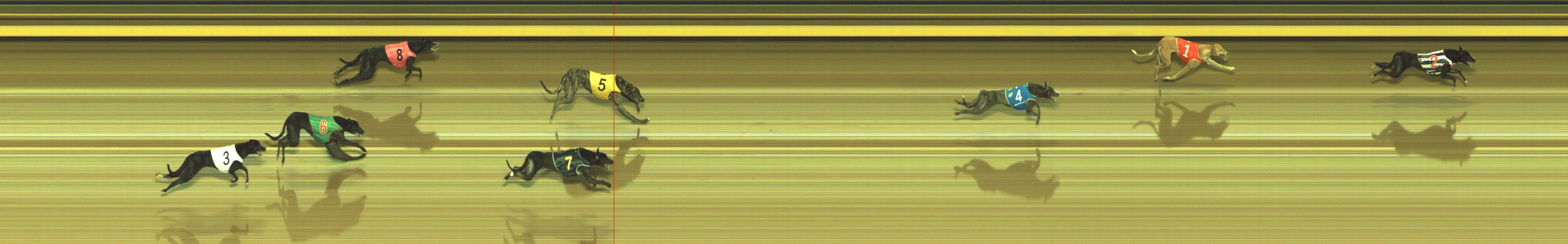 Photo finish for Geelong Race 2