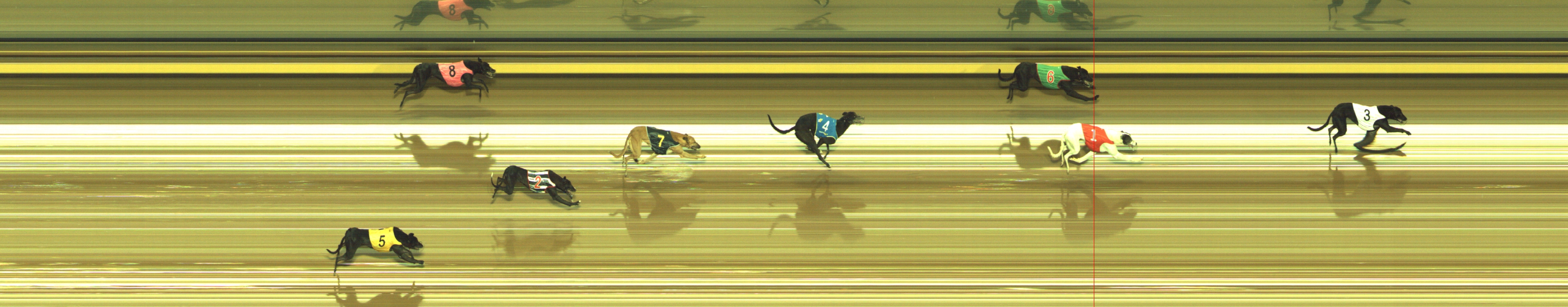 Photo finish for Geelong Race 3