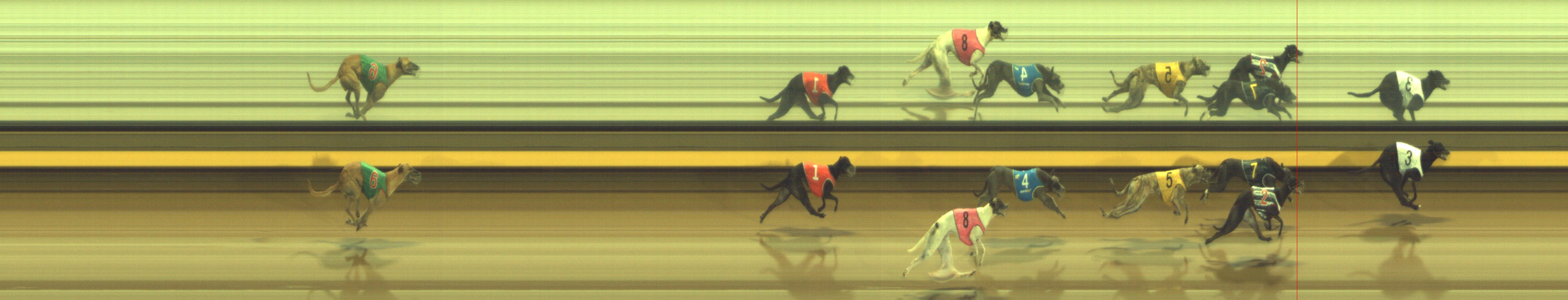 Photo finish for Geelong Race 5