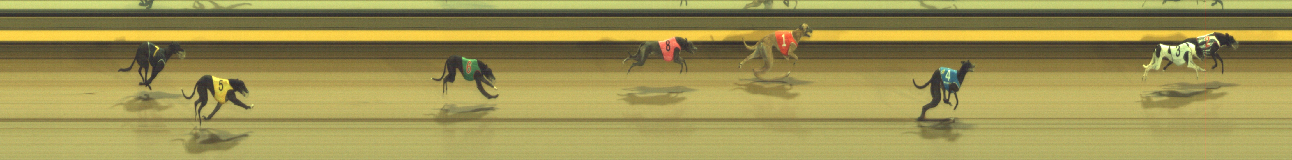 Photo finish for Geelong Race 6