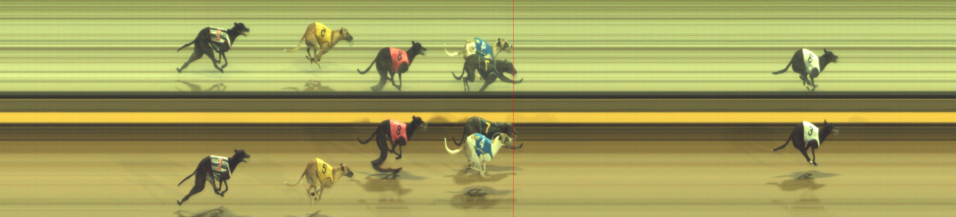 Photo finish for Geelong Race 7