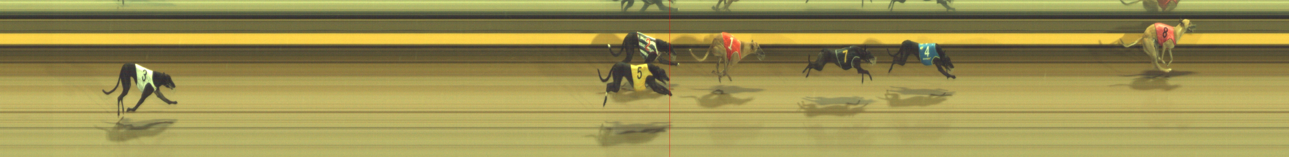 Photo finish for Geelong Race 8