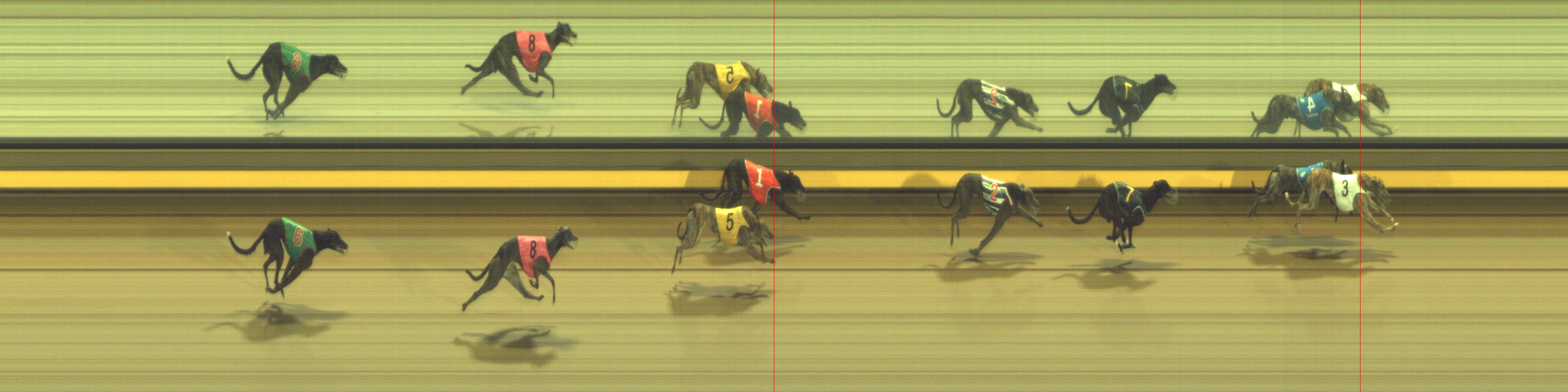 Photo finish for Geelong Race 9