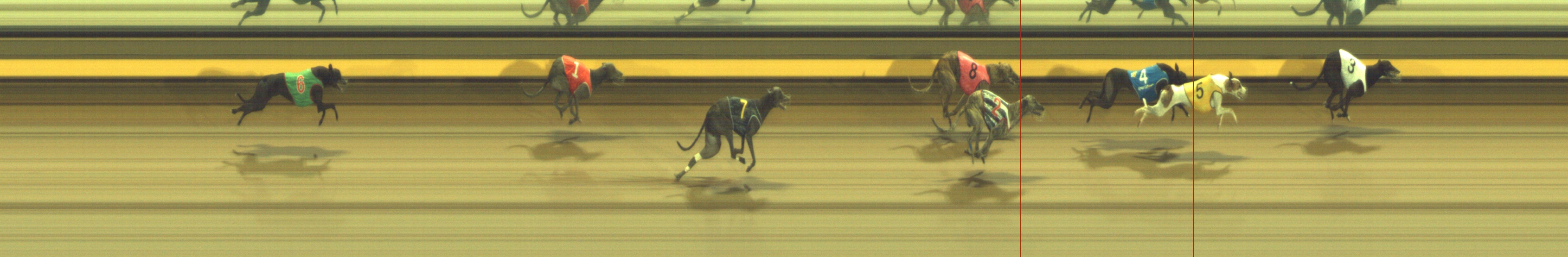 Photo finish for Geelong Race 10